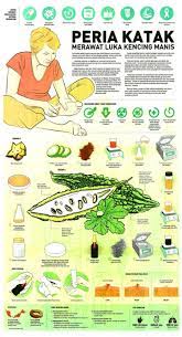 Kencing manis adalah penyakit yang boleh membunuh dalam senyap selain jantung dan darah tinggi. Peria Katak Merawat Luka Kencing Manis Faculty Of Biotechnology And Biomolecular Sciences