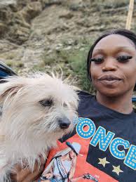 We are still searching for our fur baby Flynn Rider, please if you have any  info or knows anything about his whereabouts call or text us please. If you  have my fur