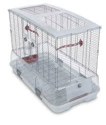 Amazon fresh groceries & more right to your door. Pin By Michelle Green On Pet Supplies Vision Bird Cage Bird Cage Bird Cages