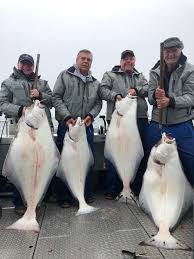 Baja mexico fishing report archives and fish pictures. Halibut Bait Different Halibut Fishing Bait And Lures