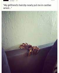 Maybe you would like to learn more about one of these? Pin On Lmao Yesss