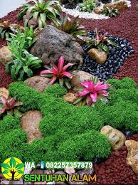 Jasa Pembuatan Taman Di Gresik Tukang Taman Gresik Jasa Perawatan Taman Gresik Spesialis Taman Di Seluruh Wilayah Jawa Timur Gresik Taman Desain Taman Kebun