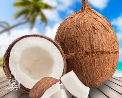 Nah air kelapa yang merupakan bagian dari buah kelapa itu sendiri, yang ternyata juga memiliki manfaat. Supplier Buah Kelapa Kirim Ke Mundu Cirebon Berkualitas Distributor Buah Kelapa