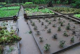 How to stop my garden flooding. Rescuing A Flooded Garden Rated People Blog