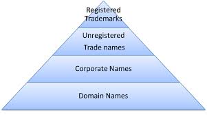 Koch Intellectual Property