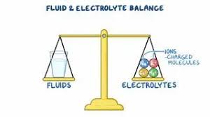 Image result for Electrolyte