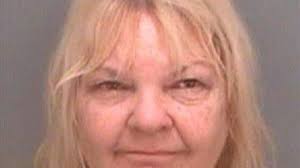 Safety Harbor woman hit husband in argument over Confederate flag, deputies  say