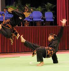 Seni gayong cikgu sazali meor rahman di serang semasa membuat persembahan tari. 8 Seni Bela Diri Dunia Terbaik Di Dunia