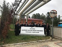 Eryetis Denizcilik On Twitter Sahipsiz Hayvanlara Sahip Ciktik Ozel Eryetis Reis Denizcilik Meslek Lisesi Ogrencileri Sosyal Sorumluluk Etkinlikleri Kapsaminda Tepeoren Sahipsiz Hayvan Gecici Bakimevi Ve Yasam Alanini Ziyaret Ettiler Https T Co