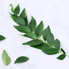 Curry leaves hail from south india, and though their name makes it sound like they'd smell and taste similar to curry powder, that's far from the truth. Curry Leaves Stalk S Southeast Asian Ingredients Nyonya Cooking
