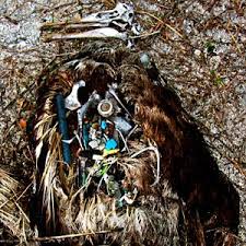 Petition To The Epa About Plastics In The Ocean Sea Birds Animal Bones Trash Art