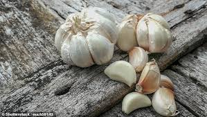 Garlic is one of the oldest remedies for repelling bad things. Garlic Could Be Used To Repel Insects From Crops As Experts Find Plant Odours Are Natural Pesticides Daily Mail Online