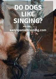 Do Dogs Like Singing It Depends On The Song Easy Spaniel Training