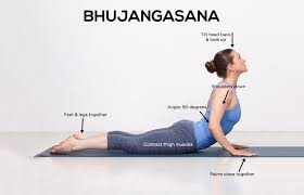 How To Do The Bhujangasana And What Are Its Benefits Yoga Poses Cobra Pose Yoga For Beginners