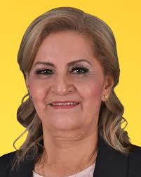 COMITÉ DE PROYECTOS, OBRAS Y GESTIÓN AMBIENTAL