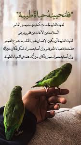 Pin By امين On Arabic Quran Quotes Quran Verses Love Words