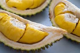 Musang king vs ochee duri hitam, mana yang terbaik ? 1 811 Malaysia Durian Photos Free Royalty Free Stock Photos From Dreamstime