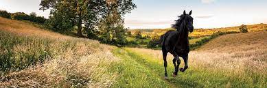Последние твиты от lloyds bank (@lloydsbank). Lloyds Banking Group Plc Annualreports Com