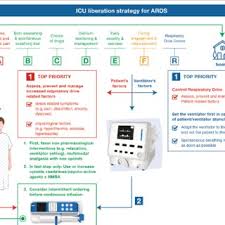 Citescore values are based on citation counts in a range of four years (e.g. Jean Michel Constantin Head Of General Icu Md Phd Hopital La Pitie Salpetriere Groupe Hospitalier La Pitie Salpetriere Charles Foix Paris Anesthesiology Critical Care And Perioperatrive Medicine