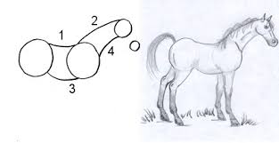 Draw the lines as long as you want. Horse Drawing Made Fun And Simple Step By Step