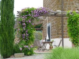 19 Best Climbing Plants For Pergolas And Trellises Climbing Plants Garden Vines Plants