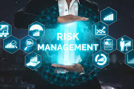 What is Digital Risk Management: A Complete Guide to Managing Digital Risks  - Sustainable Business Toolkit