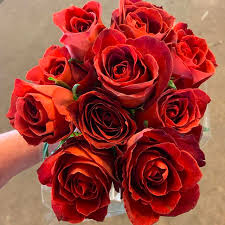 New Chocolate Terracotta Rose Fave Introducing Cafe Del Mar Such A Good Rich Lux Rust Color We Have A Feeling She S Going T Brown Flowers Rose Instagram