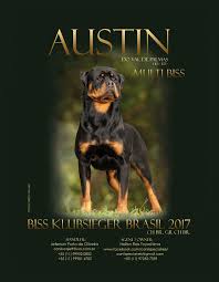 Multi Biss Austin Do Val De Palmas Hd Ed Biss Klubsieger Brasil 2017 Agent Owner Hellen Reis Toyoshima Canispecialreis Rottweiler Breed Rottweiler Pet Bed
