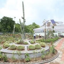 Rare specimen cacti and sculptural plant groupings define a. Cactus Garden At Statue Of Unity Statue Of Unity Tent City