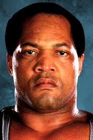 This time sting bursts out of the box and explodes all over jack. Ron Simmons Movies Age Biography