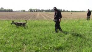 Her family had arranged her marriage, but she refused and went to a safe house. A0ttnqxjs4l3km