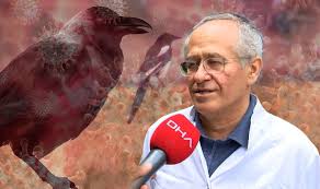 Batı nil virüsü esas olarak enfekte sivrisineklerin ısırıkları yoluyla insanlara bulaşır. E2vdyyuqdkr6qm