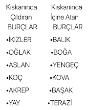 Oglak 2020 Burclar Ikizler Burcu Burc Bilgileri