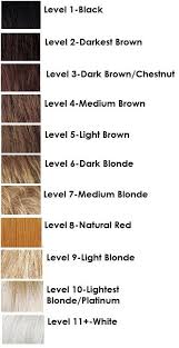 Hair Levels Chart In 2019 Hair Chart Hair Color Formulas