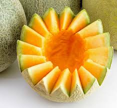 Image result for Cucumis meeusei
