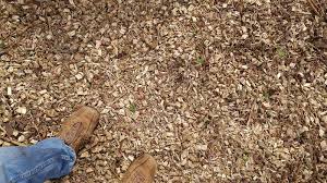Sun joe cj602e wood chipper/shredder high quality, dependable & top rated. Sun Joe 15 Amp Silent Wood Chipper Shredder
