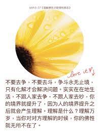 pin by 菩提心on 佛言佛語 pie chart chart fruit