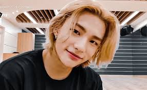 Pin On Stray Kids