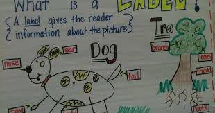 Writing Workshop Kindergarten Anchor Charts Kreative In
