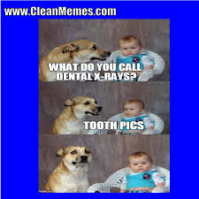 These funny animal memes are meant to brighten your day. Funny Dog Memes Clean