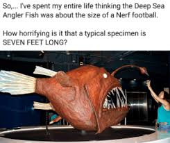 New Angler Fish Memes Was Memes Spent Memes Shinies Memes