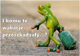 LOLfobia - I komu te wakacje przeszkadzały...? 😕 | Facebook