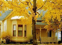 pin on autumn