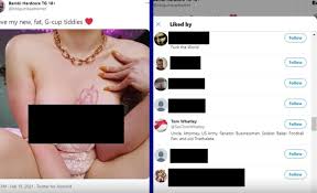 Sinnameeuwu - Best photos on dfslovakia.sk