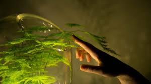 Many independent farmers and greenhouses. Living Light Is An Off Grid Lamp Powered By Photosynthesis