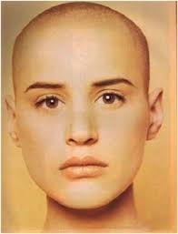 DAILY // EVE SALVAIL // SLASH-ZINE