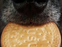 Langsung liat keseruan ulang taun wapish di youtube channel the golden family yahhh tulis nama anabul dari nubi sampe yang paling kanan!! Pin Oleh Faizahfaqih Di 01