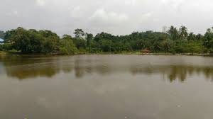 Armenuhi seghbosyan teaching english as a second or foreign language. Taman Tasik Picture Of Taman Tasik Gua Musang Tripadvisor