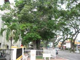 Menteri besar, datuk seri dr. Tempat Menarik Di Kuala Kangsar Untuk Dilawati Percutian Bajet
