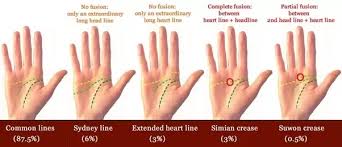 Gestation is the period of time between conception and birth. I Have A Simian Line On Both Of My Hands What Does It Mean Quora